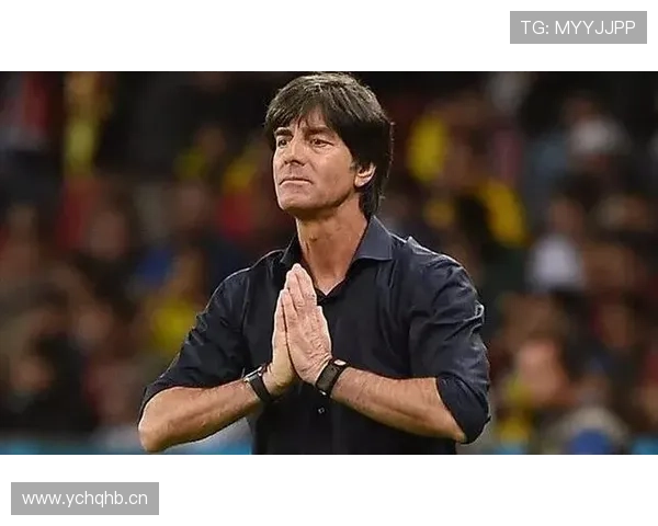 厄德高评价两极分化：战术角色与比赛影响力解析