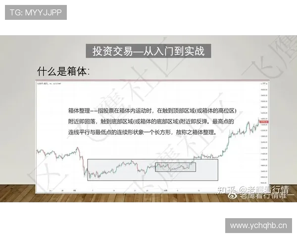 篮球规则：双方同时犯规的正确判罚方式与实战应用