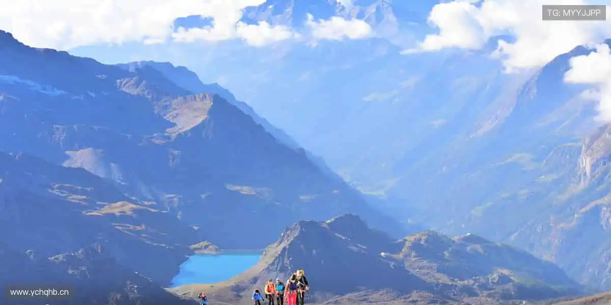 弹幕狂欢，边看边聊！💬 独家解说 + 实时数据，打造沉浸式观赛体验！